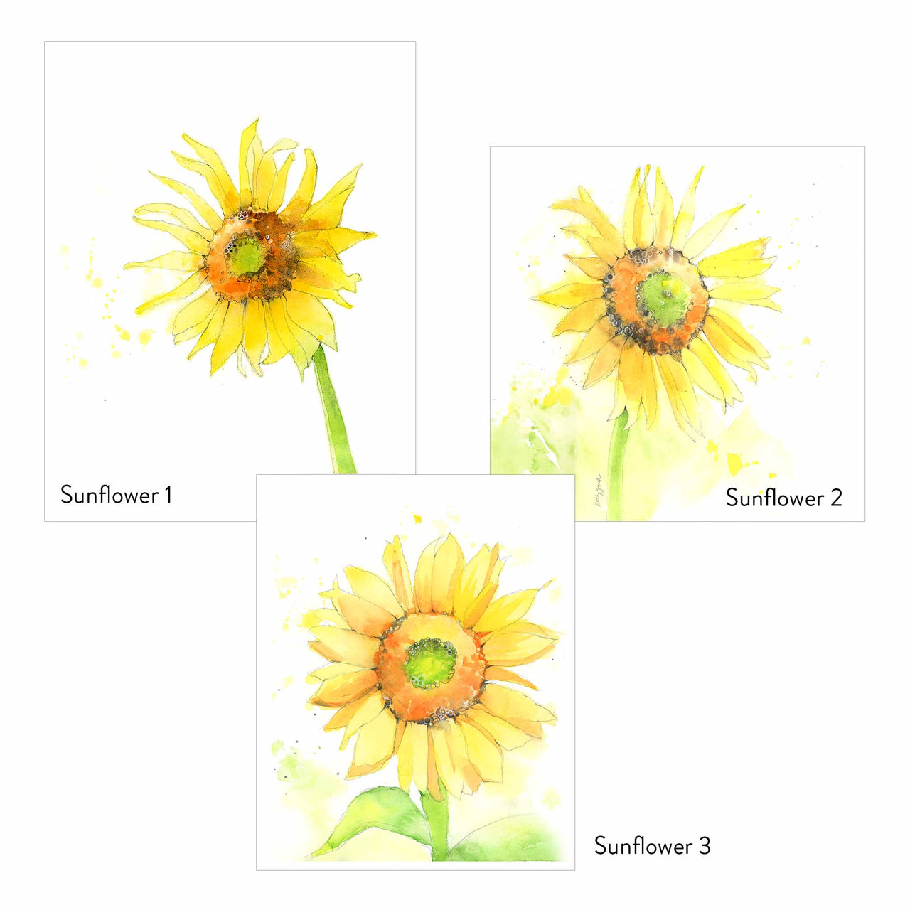 sunflower greeting cards
