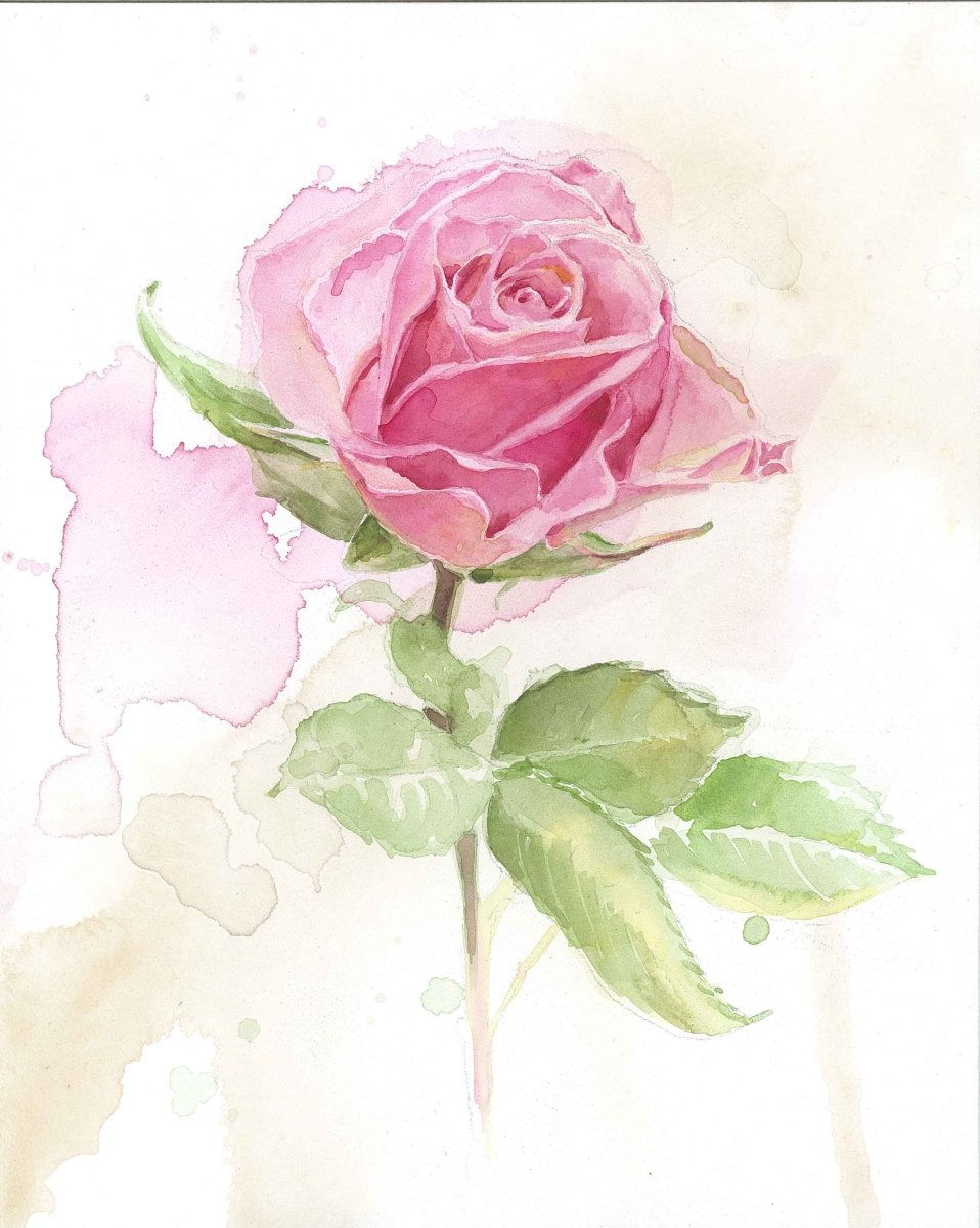 Angela's Rose Original Watercolor Painting