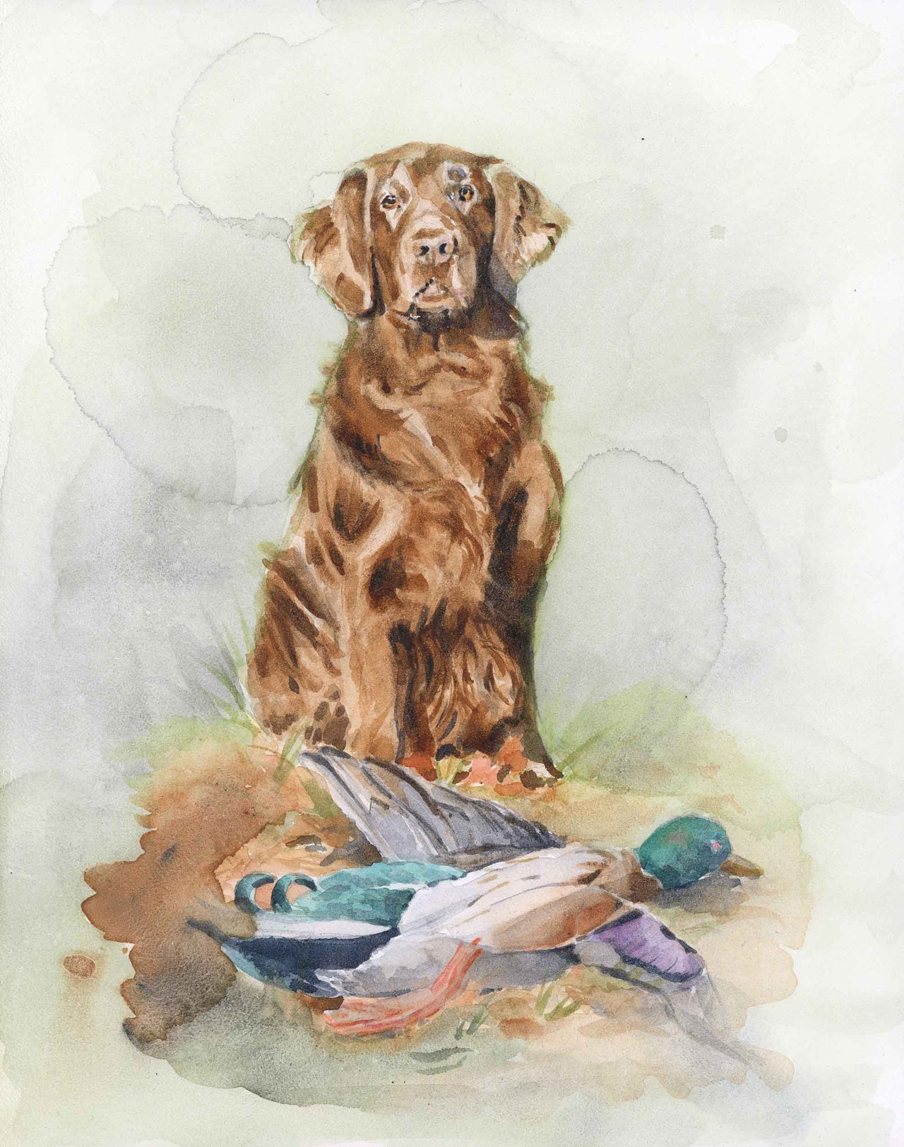 watercolor painting of a chocolate labrador retriever sitting looking directly at viewer with a duck at his feet