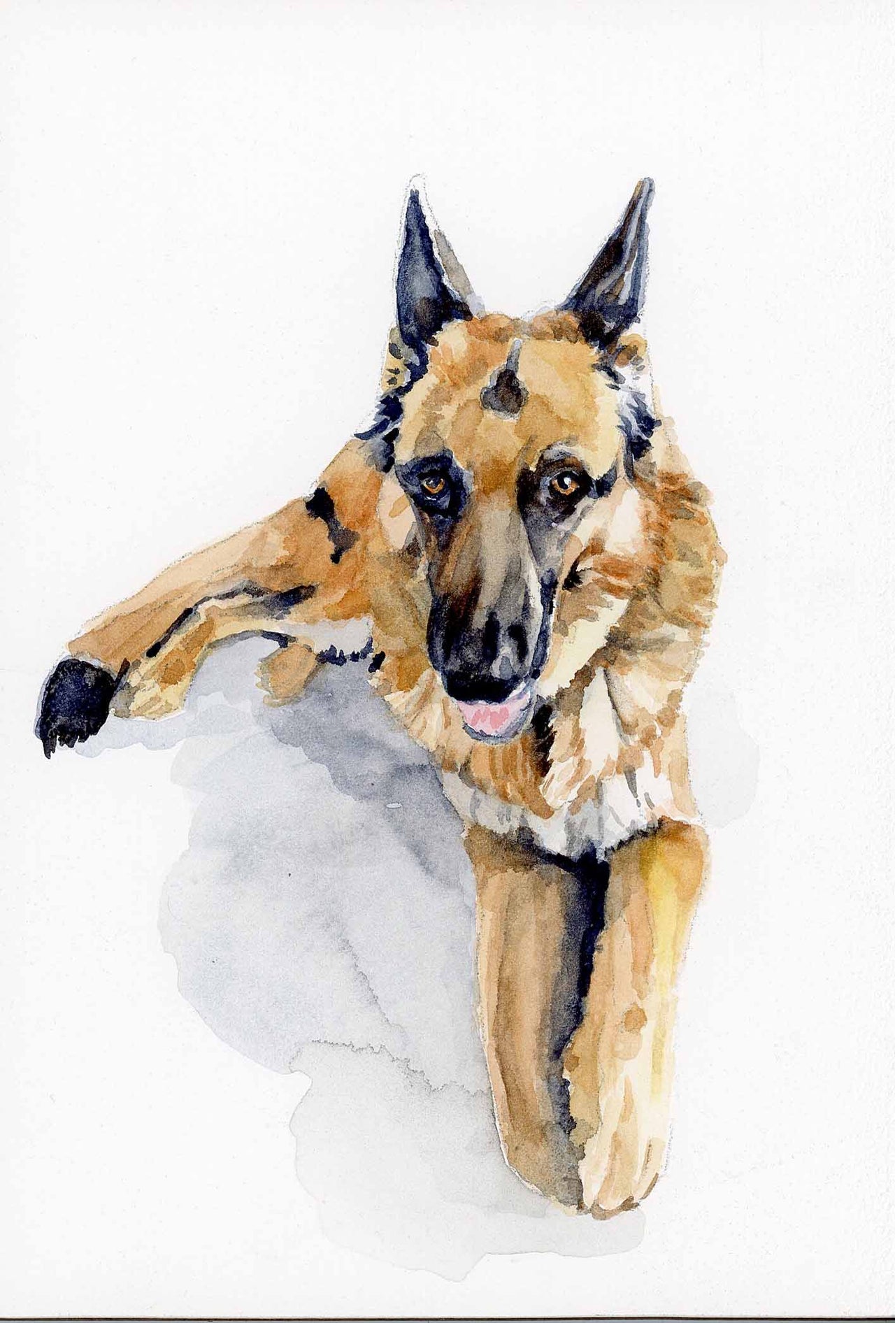Custom Watercolor Cat Portrait Painting from Photo on Aquaboard