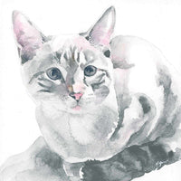 Thumbnail for siamese cat watercolor painting