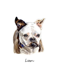 Thumbnail for Custom Mini Pet Portrait Painting or Framed Print in Watercolor – Hand-Painted from Your Photo