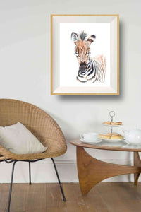 Thumbnail for Baby Zebra Art Print