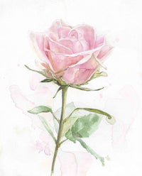 Thumbnail for Pink rose watercolor painting with green leaves on a light pink background