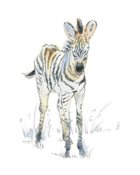 Thumbnail for Sweet Safari Zebra Print