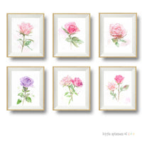 Thumbnail for set of six rose watercolor art prints
