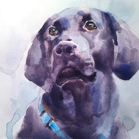 Custom Watercolor Pet Portrait from Photo