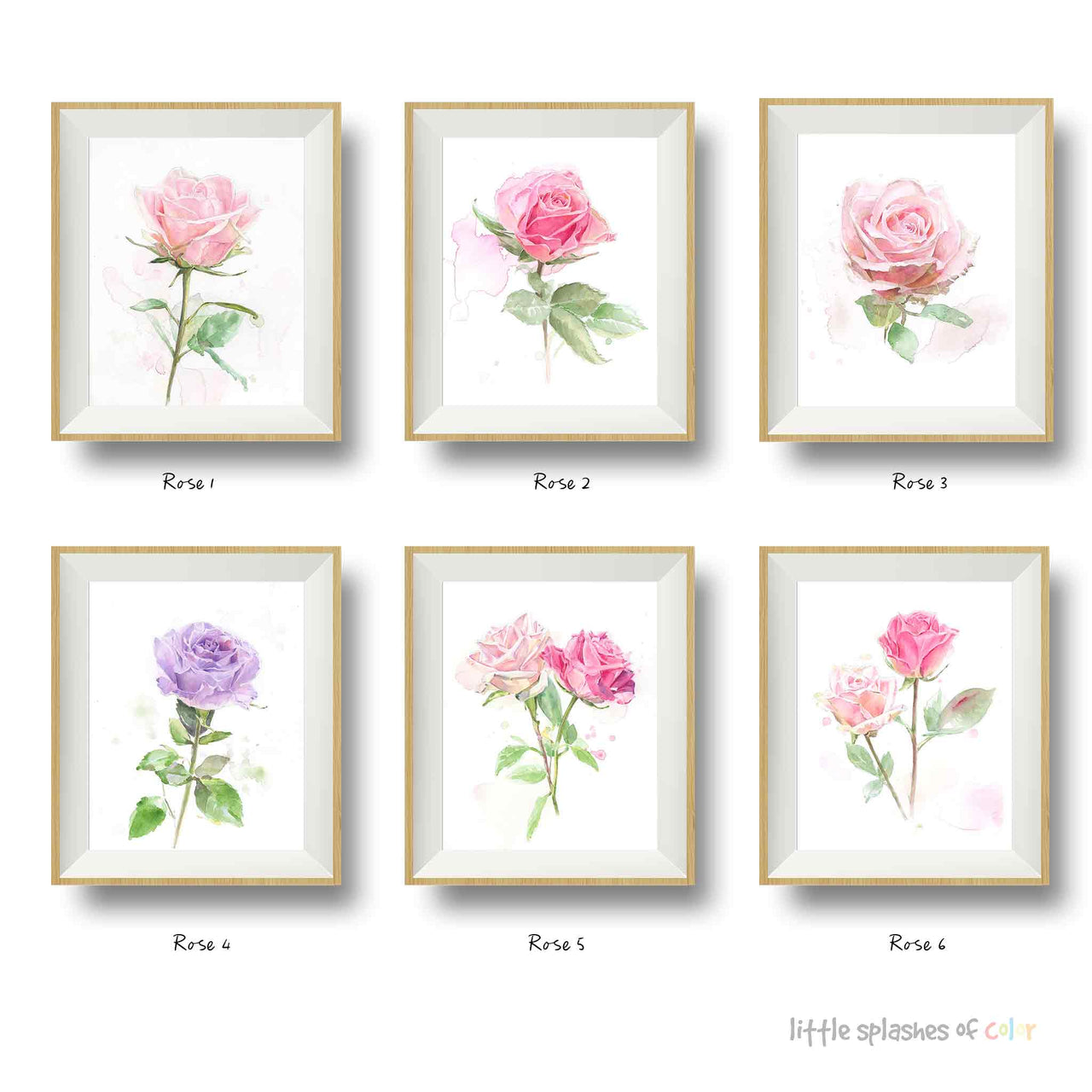 set of six rose paintings