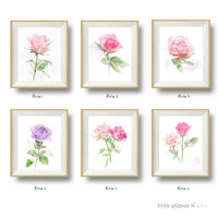Thumbnail for set of six rose paintings