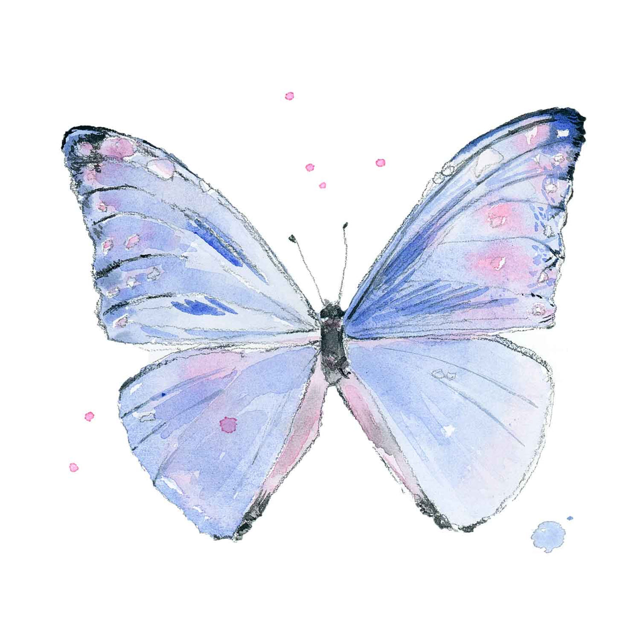 Ella's Butterflies - Blue Butterfly Print #2 (download)