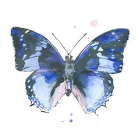 Thumbnail for butterfly wall art blue