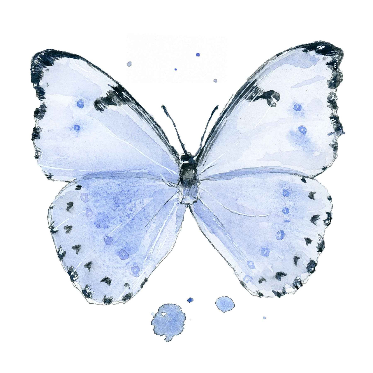 Ella's Butterflies - Blue Butterfly Print #1
