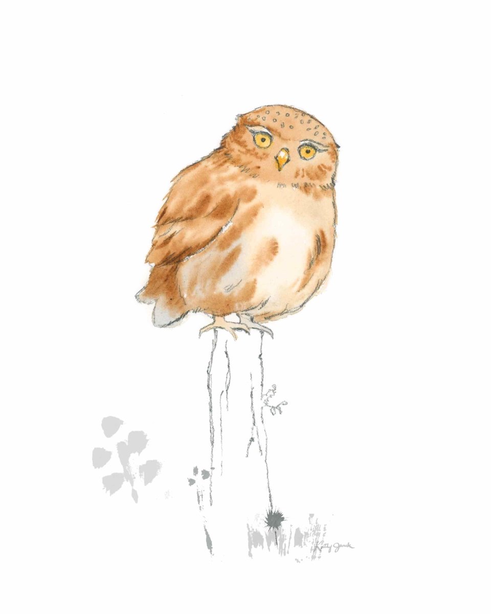 Sweet Woodland Owl Print