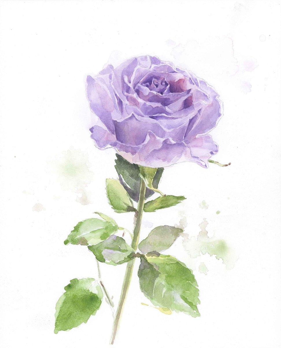 Esther’s Rose Original Watercolor Painting