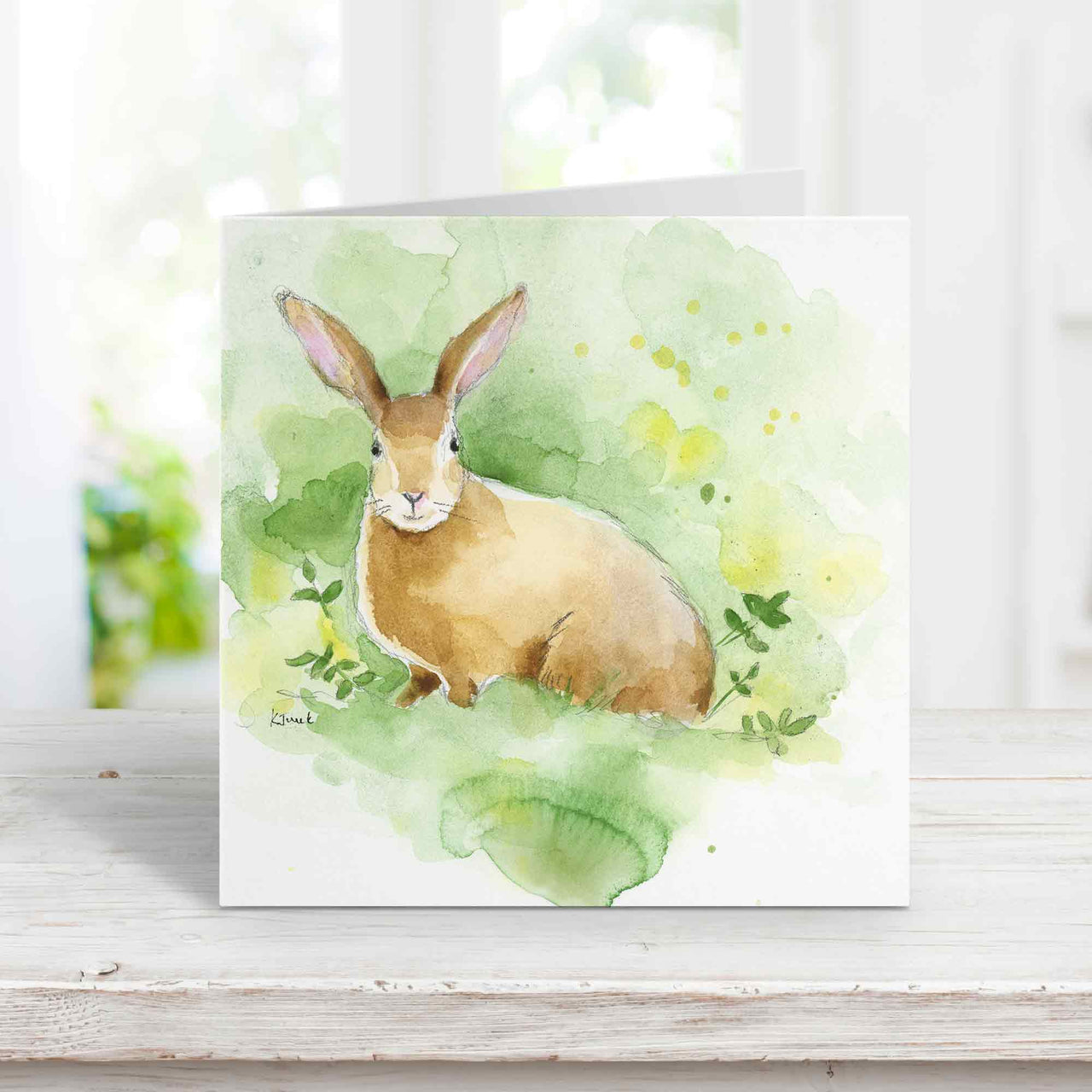 wild rabbit greeting cards set