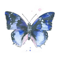 Thumbnail for Ella's Butterflies - Blue Butterfly Print #4 (download)