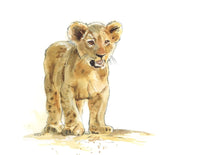 Thumbnail for Lion Cub Print